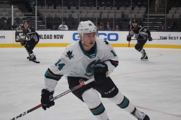 10737522640_IMG_1229 (1)